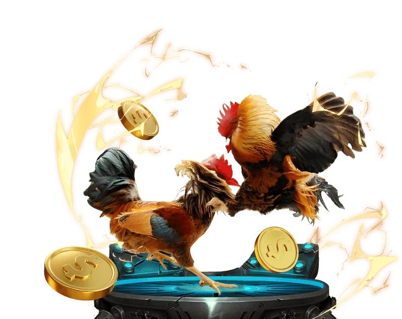 Tầm quan trọng của tài nguyên